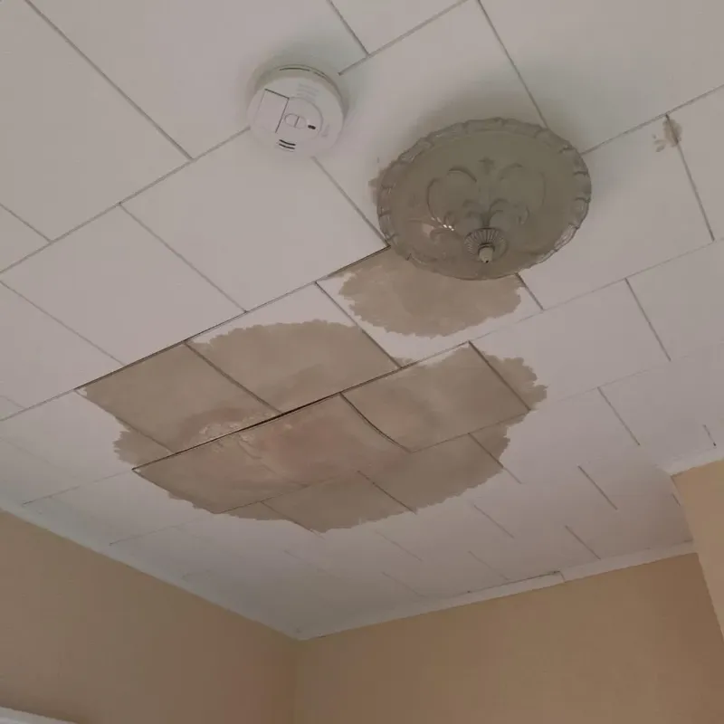 Ceiling Water Damage Repair in North Crossett, AR